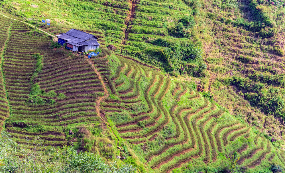 Tonkinese Alps Sapa