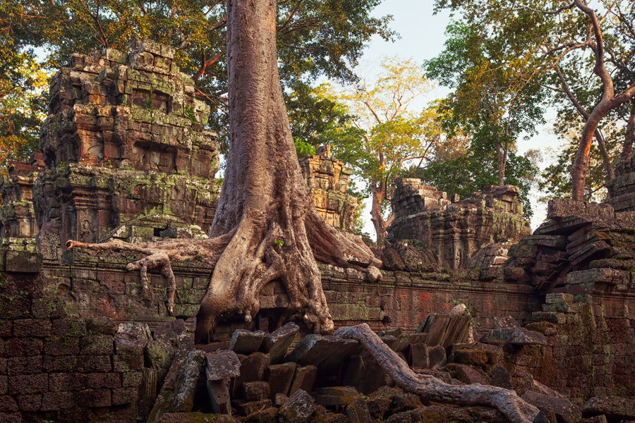 Temple ruins of Ta Prohm