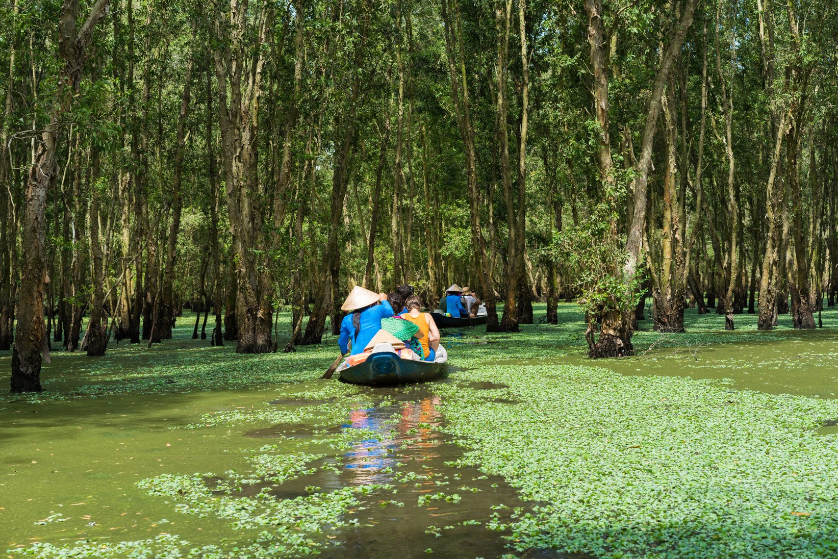 Tourism Rowing Boat in Mekong Delta