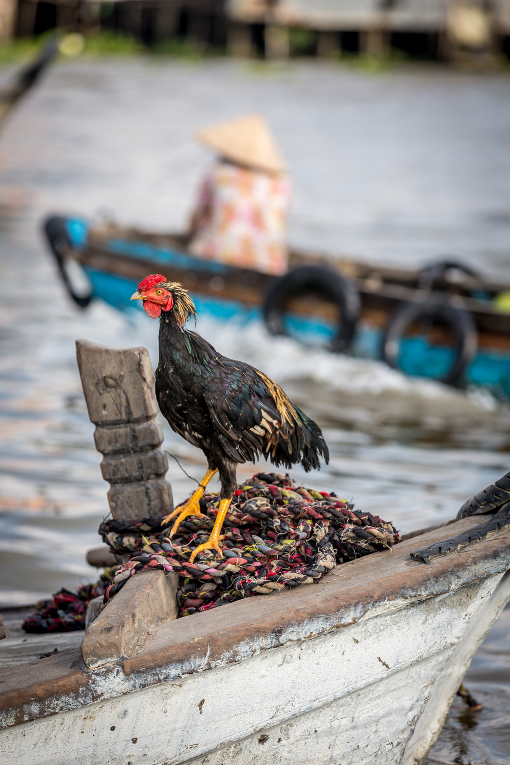 Floating Market Vietnam Mekong Delta